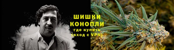 ГАЛЛЮЦИНОГЕННЫЕ ГРИБЫ Каменногорск