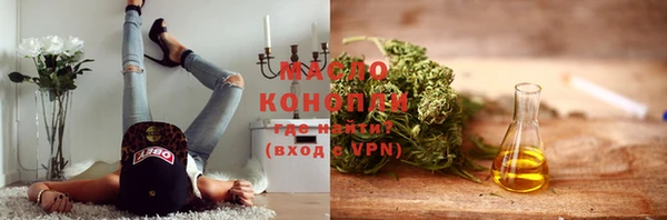 прущий лед Каменка