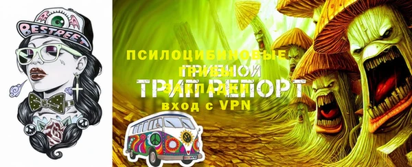 ГАЛЛЮЦИНОГЕННЫЕ ГРИБЫ Каменногорск