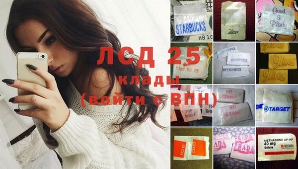 ГАЛЛЮЦИНОГЕННЫЕ ГРИБЫ Каменногорск