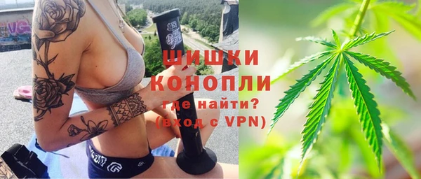 прущий лед Каменка