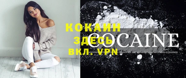 прущий лед Каменка