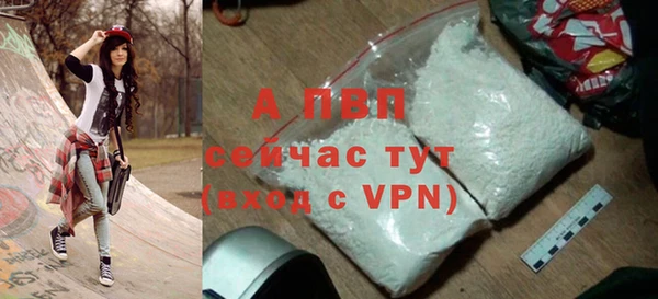 ГАЛЛЮЦИНОГЕННЫЕ ГРИБЫ Каменногорск