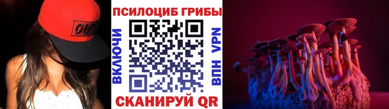 Псилоцибиновые грибы прущие грибы  shop состав  Королёв  KRAKEN ONION 